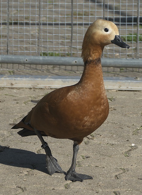一次對防守