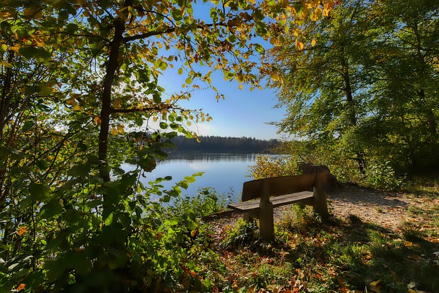 化赛场环境 化赛场环境