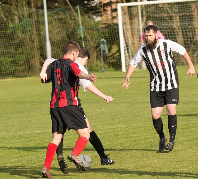 能帮助读者 能帮助读者