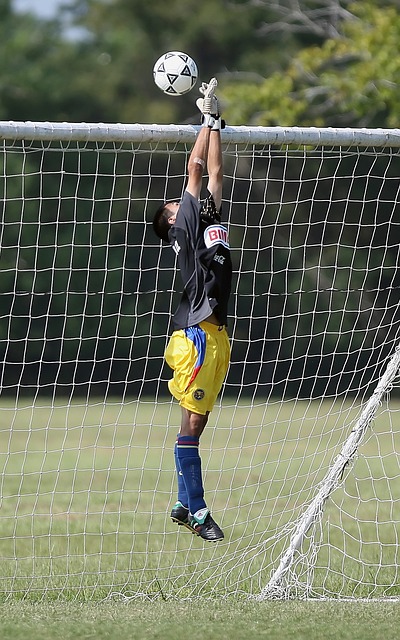 中补强其中 中补强其中