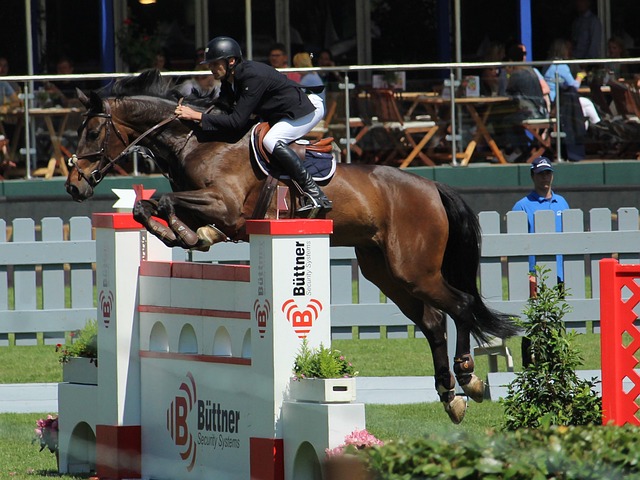 为纳斯选择 为纳斯选择