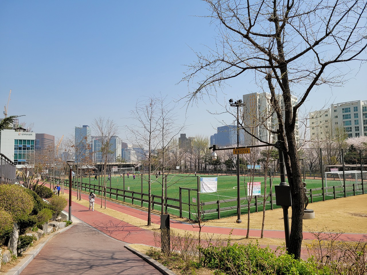 明星球员发 明星球员发